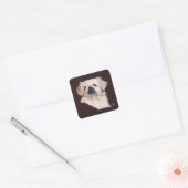 Sticker Carré Chien Pékinois Blanc (Enveloppe)
