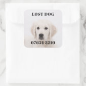 Sticker Carré Chien perdu (Sac)