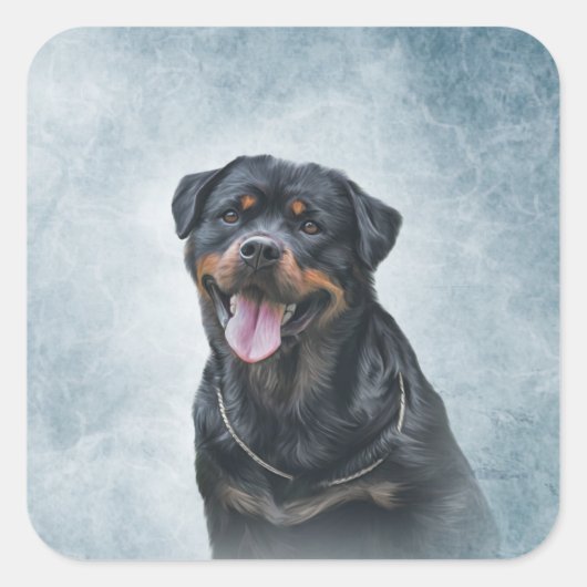 Sticker Carré Chien Rottweiler (Devant)