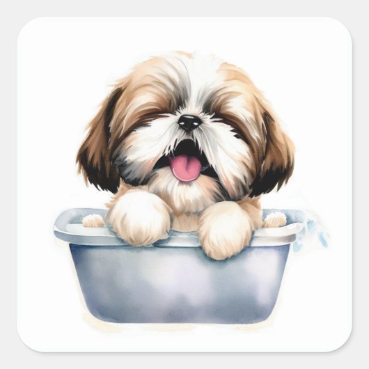 Sticker Carré Chien Shih Tzu (Devant)