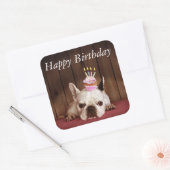 Sticker Carré Chien-taureau français avec Cupcake d'anniversaire (Enveloppe)