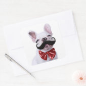 Sticker Carré Chien taureau français Chien Chien Chien Chien Ave (Enveloppe)