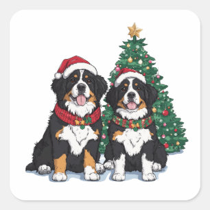 Sticker Carré Chiens de montagne bernois de Noël