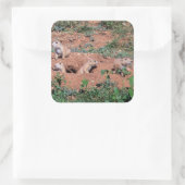 Sticker Carré Chiens des Prairies (Sac)