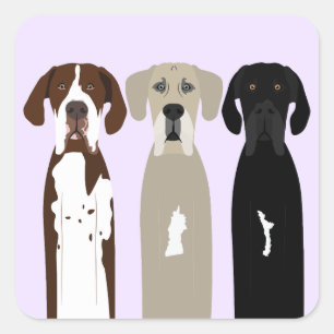 Sticker Carré Chiens géants