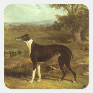 Sticker Carré Chiens, Greyhound et Spaniel, Doctor Fop par Herri