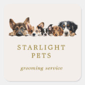 Sticker Carré Chiens mignons Grooming Service Affaires (Devant)