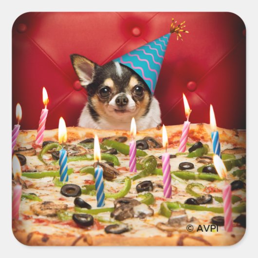 Sticker Carré Chihuahua Anniversaire Pizza Pie (Devant)