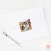 Sticker Carré Chihuahua est à l'automne (Enveloppe)