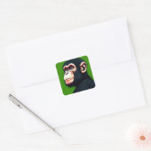 Sticker Carré Chimpanzé (Enveloppe)