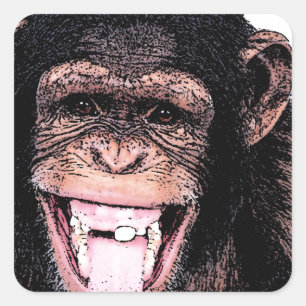 Sticker Carré Chimpanzé