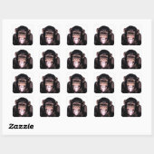 Sticker Carré Chimpanzé (Feuille)