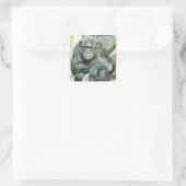 STICKER CARRÉ CHIMPANZÉ DRÔLE (Sac)