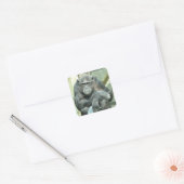 STICKER CARRÉ CHIMPANZÉ DRÔLE (Enveloppe)