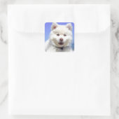 Sticker Carré Chiot blanc Husky avec yeux bleus (Sac)