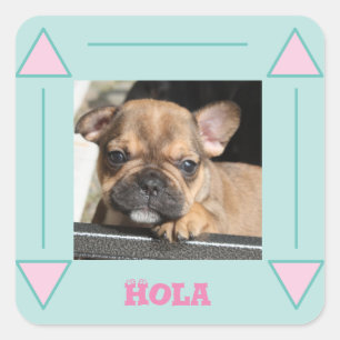 Sticker Carré chiot bouledogue français Bouledogue Français