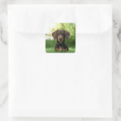 Sticker Carré Chiot Brown Dachshund (Sac)