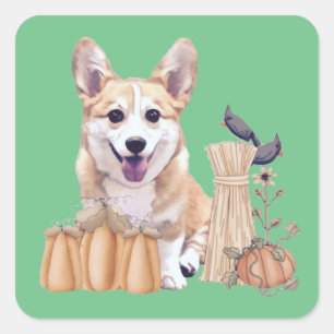 Sticker Carré Chiot de corgi en automne