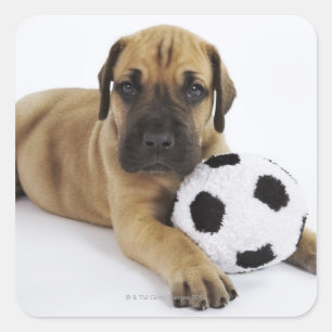 Sticker Carré Chiot de great dane avec du ballon de football de