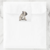 Sticker Carré Chiot de Pedigree (Sac)