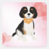 Sticker Carré Chiot Espagnol Cavalier de trois couleurs (Devant)