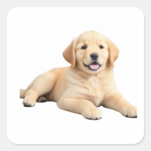 Sticker Carré Chiot Golden Retriever