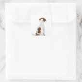 Sticker Carré Chiot Jack Russell Terrier (3 mois) (Sac)