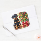 Sticker Carré Chiot Rottweiler à côté d'un arbre de Noël (Enveloppe)