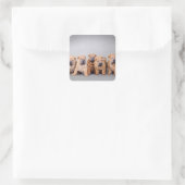 Sticker Carré Chiots chinois Shar Pei (Sac)