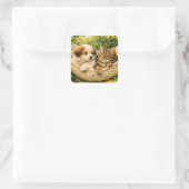 Sticker Carré Chiots et chatons, (Sac)