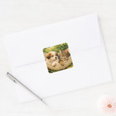 Sticker Carré Chiots et chatons, (Enveloppe)