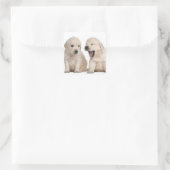 Sticker Carré Chiots Golden Retriever (4 semaines) (Sac)