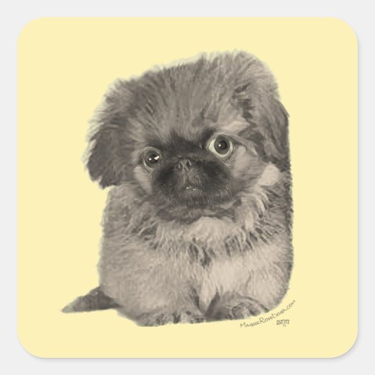 Sticker Carré Chiots Pékinois Jaune (Devant)