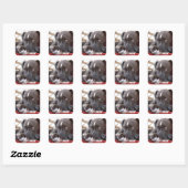 Sticker Carré Chiots Pitbull pour bébé modifiables (Feuille)