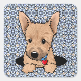 Sticker Carré Chiots Terrier de Norwich