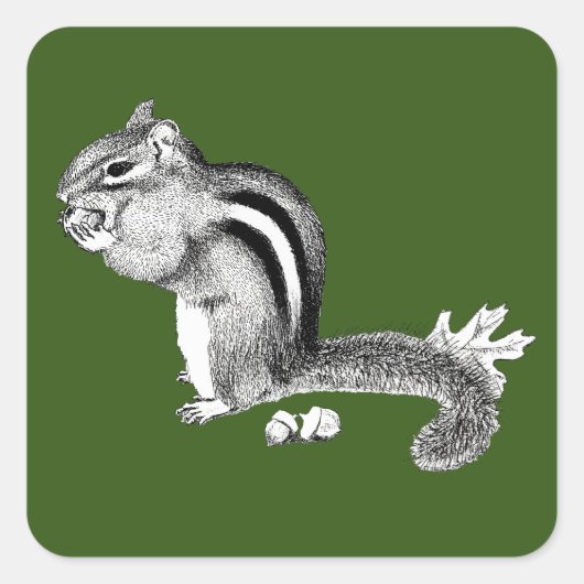 Sticker Carré Chipmunk (Devant)