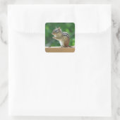 Sticker Carré Chipmunk (Sac)