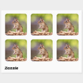 Sticker Carré Chipmunk aux cacahuètes (Feuille)
