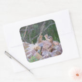 Sticker Carré Chipmunk Chatter (Enveloppe)