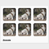 Sticker Carré Chippon anglais Bulldog (Feuille)