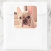 Sticker Carré Chippon français (Sac)