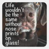 Sticker Carré Chocolat Lab Nez Fermer la photo (Devant)