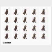 Sticker Carré Chocolat Labrador Retriever Puppy (Feuille)