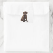 Sticker Carré Chocolat Labrador Retriever Puppy (Sac)