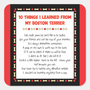 Sticker Carré Choses drôles I appris de mon Boston Terrier