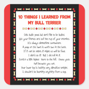 Sticker Carré Choses drôles I appris de mon bull-terrier