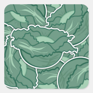 Sticker Carré Chou vert funky