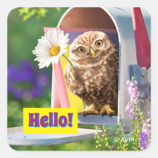 Sticker Carré Chouette Avec Fleur Dans Boîte Aux Lettres (Devant)