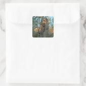 Sticker Carré Chouette barrée dans une mousse espagnole (Sac)