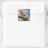 Sticker Carré Chouette de pondering (Sac)